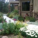 Front Entrance Walk Plantings