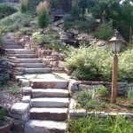 siloam steps