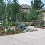 Rocky Mountain Plantings