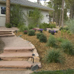 siloam steps on side of house