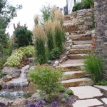 Siloam Steps
