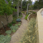 Soil Cement path