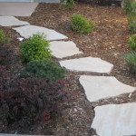 Stepping path