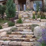 Wide Entry Steps