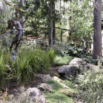 landscaping with plant materials
