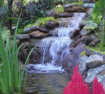 Water Feature