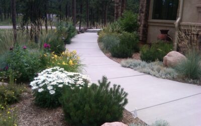 Pathway Perfection: Step Up Your Style with Creative Garden Paths