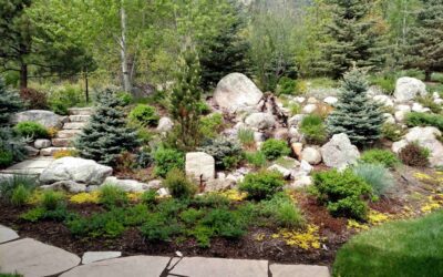 New Year, New Landscape: 2024 Trends for Colorado Springs Homes