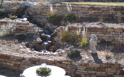 The Necessity of Watering Your Plants & Grass In Winter