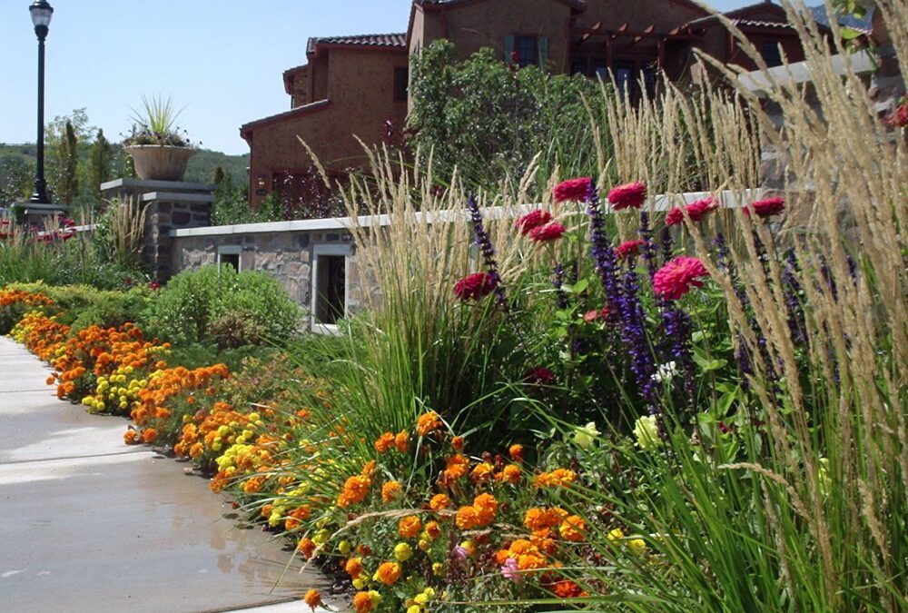 Grass and Flower Plantings near Colorado home