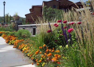 Grass and Flower Plantings near Colorado home