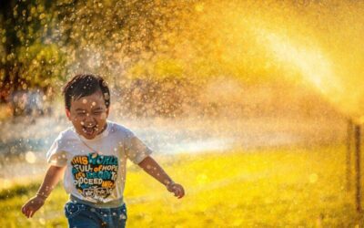 Summer Lawn Care Tips: Keeping Your Colorado Springs Yard Healthy and Vibrant