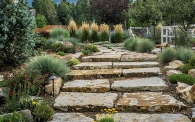 The Top Hardscaping Trends for Colorado Springs Homes