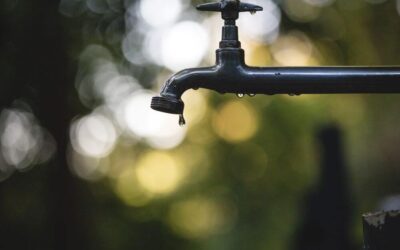 Water-wise Landscaping Tips for Colorado Springs