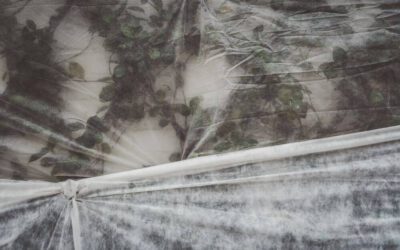 Preparing Your Colorado Springs Landscape for Winter’s Embrace
