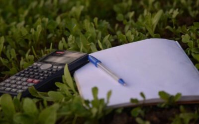 How to Get the Most out of Your Landscaping Budget