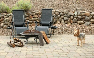Creating a Safe Haven: Essential Elements for Creating a Pet-friendly Yard in Colorado Springs