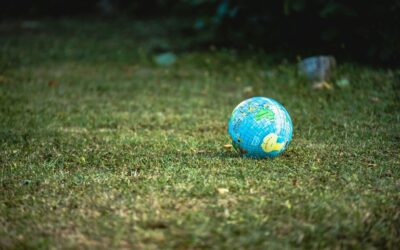 Sustainable Deck Building: Choosing Eco-Friendly Materials and Practices