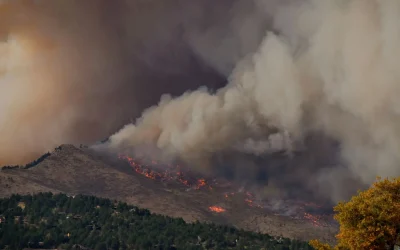Fire-Resistant Landscaping: Protecting Your Colorado Home
