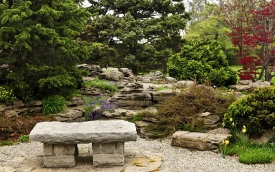 Rock Gardens: A Minimalist Approach to Landscaping