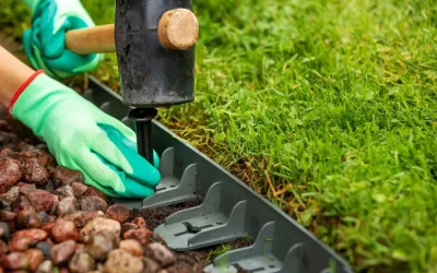Garden Edging Ideas for a Polished Look