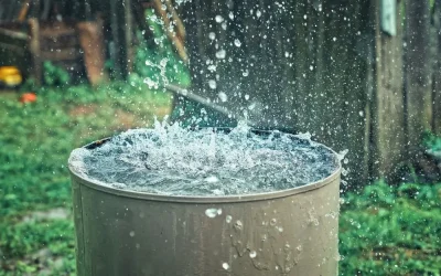 Rain Gardens for Stormwater Management: A Solution for Reducing Runoff and Conserving Water