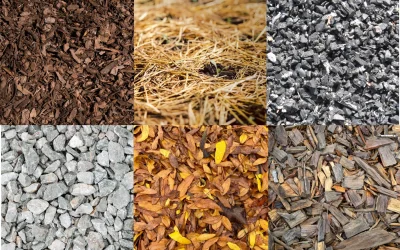 What Is the Best Type of Mulch for Your Landscaping Project in Colorado Springs?