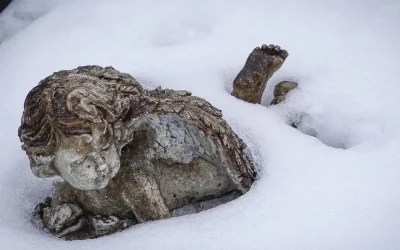 Art That Stands Up to the Rockies: Choosing Durable Garden Art That Survives Colorado’s High-Altitude Winters and Sun