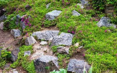 How to Stop Slope Erosion in Colorado Springs with Strategic Boulder Landscaping